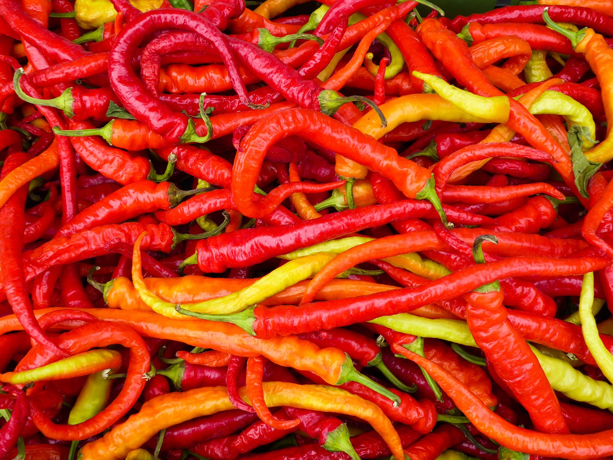 Fermented Food Products and The Health Benefits